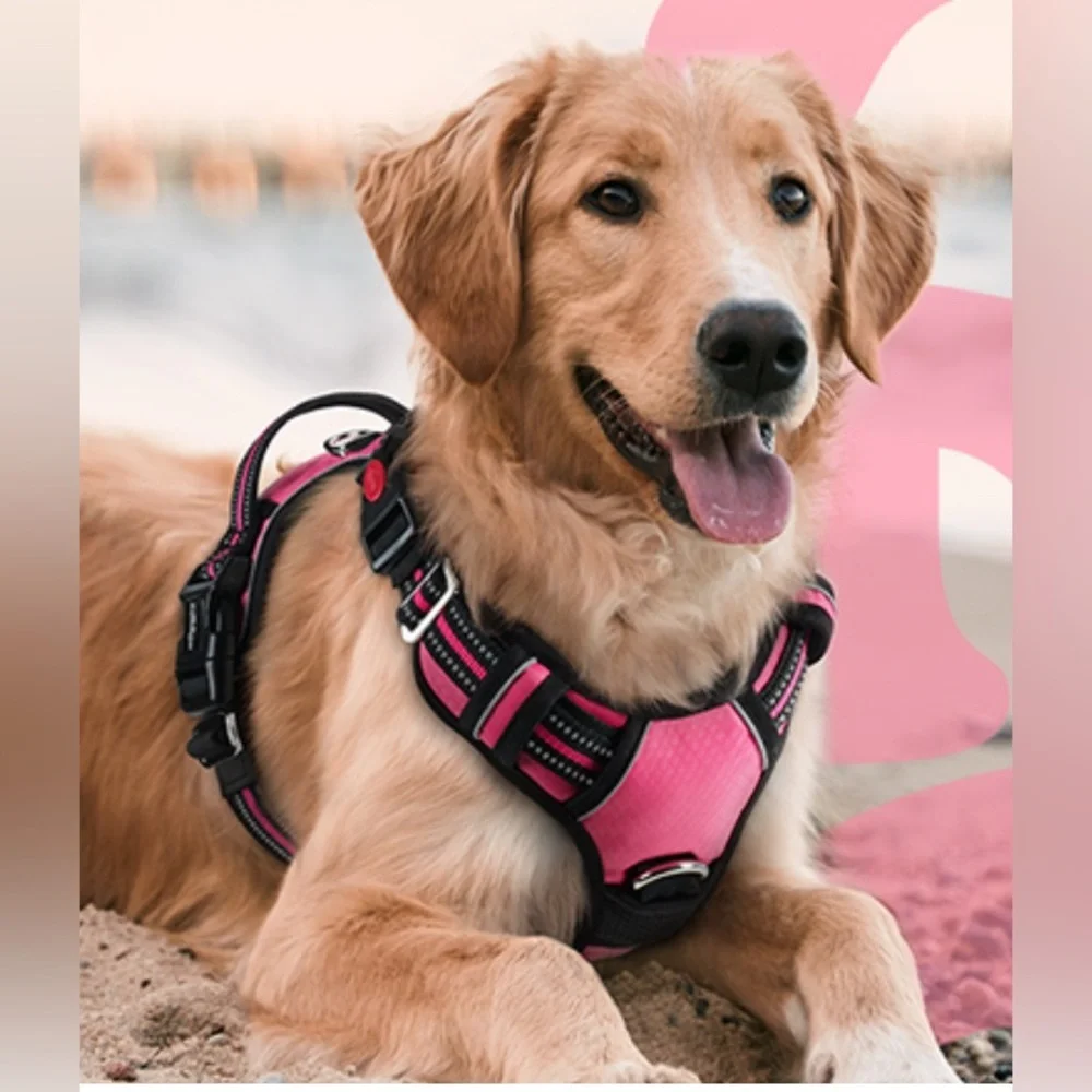 New MASBRILL medium adjustable No Pull dog Safety‎ Buckled Padded Harness